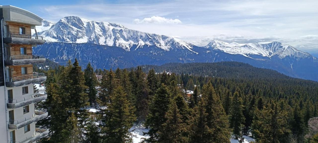 Pieds Des Pistes, 6p, Piscine Ouverte Pendant L'ouverture De La Station, Vue Imprenable, Appartement Chamrousse